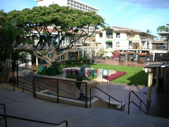 Island Vintage Coffee